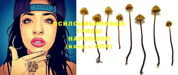спайс Богородицк