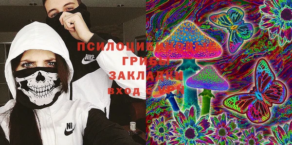 спайс Богородицк